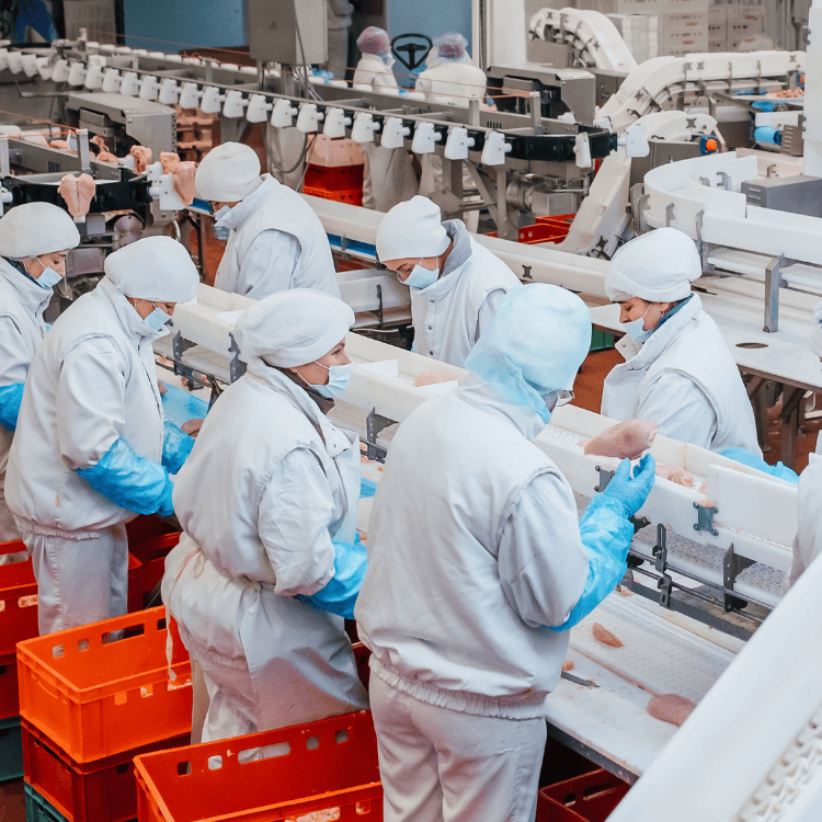 How to Become a Baker 5 Food Safety and Hygiene for Manufacturing Level 2