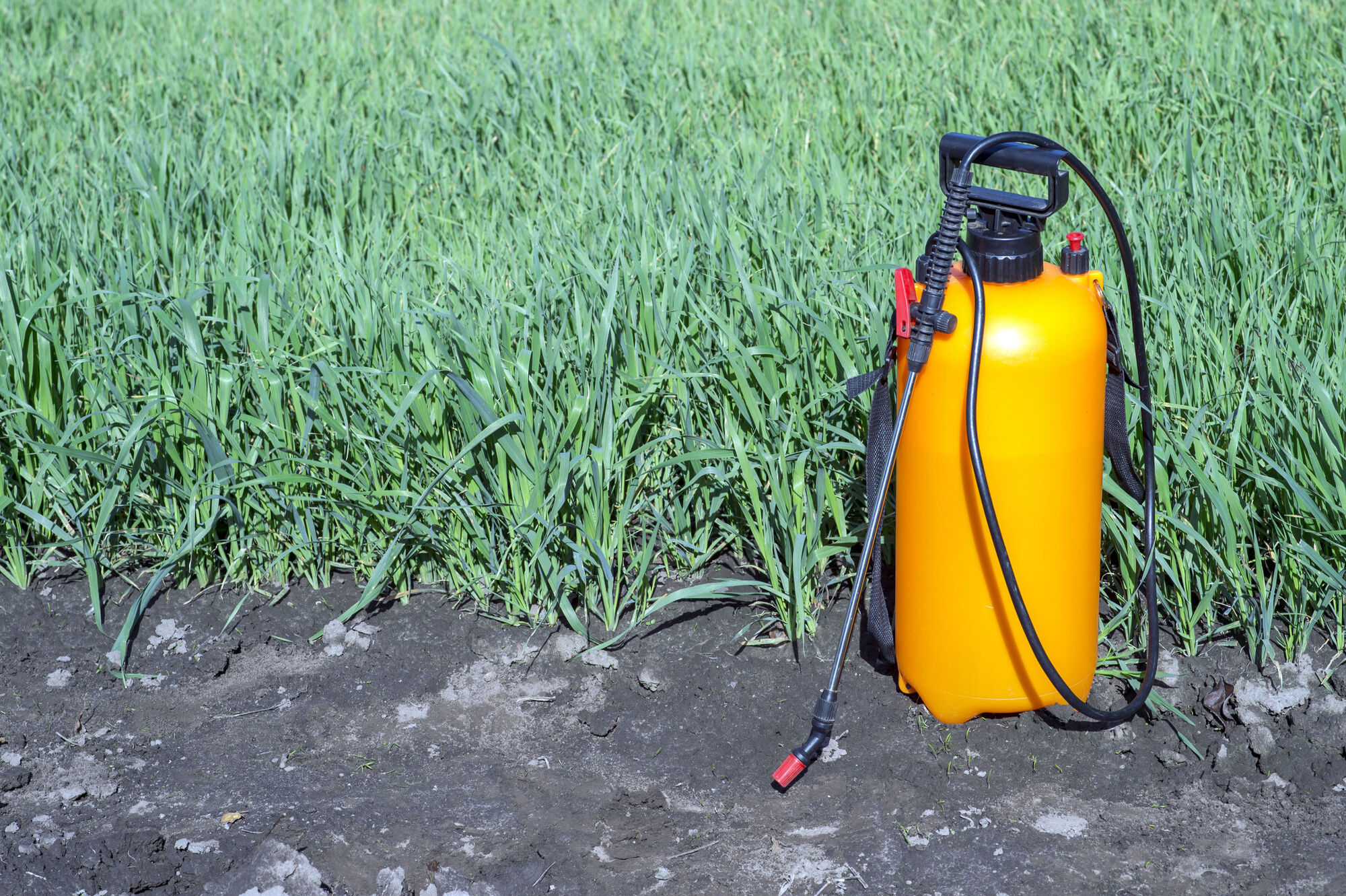 Sprayer with hazardous substance liquid Sprayer with hazardous substance liquid
