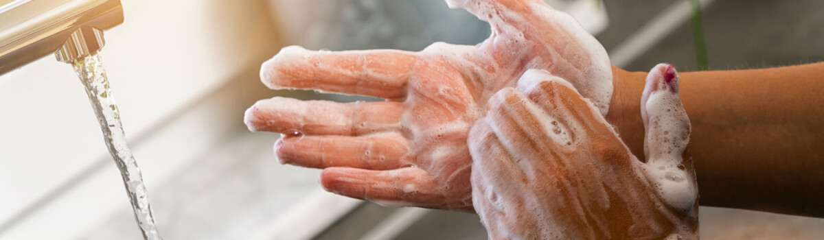 Washing Hands To Prevent Campylobacter