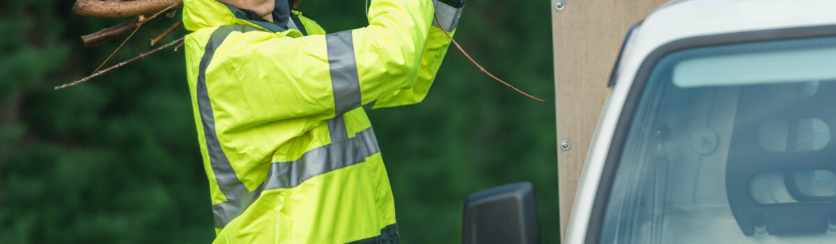 Tree surgeon volunteering to remove branches