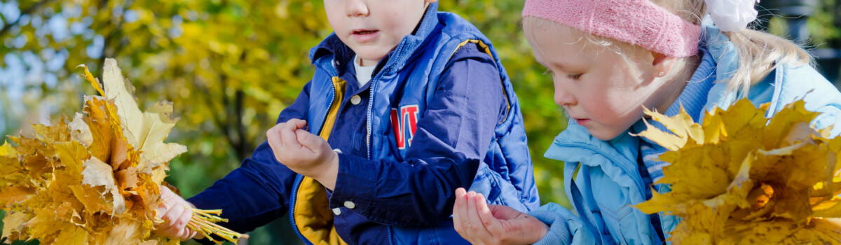 Children in a forest school foraging in the leaves