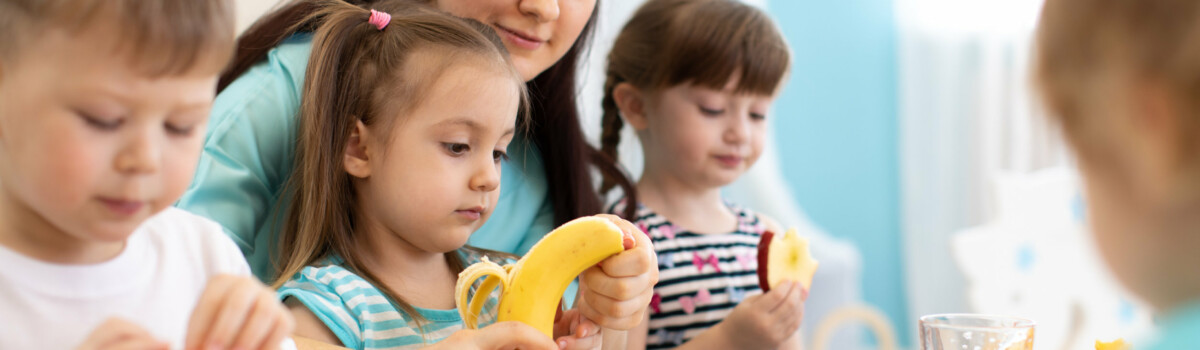 Food Hazards In Day Nurseries