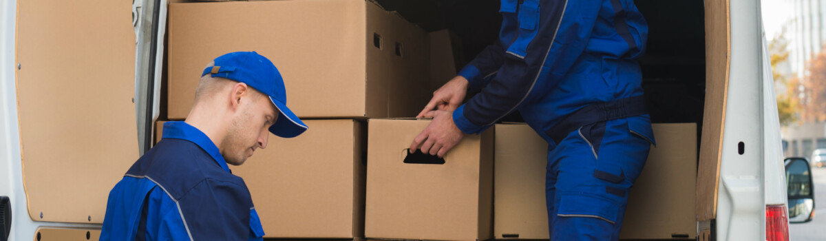 Food delivery in cardboard boxes