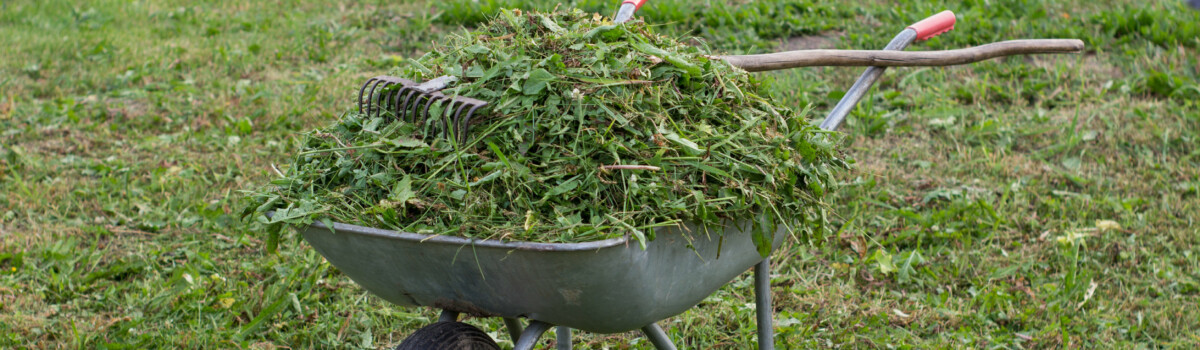 Grass can be disposed of using a garden incinerator