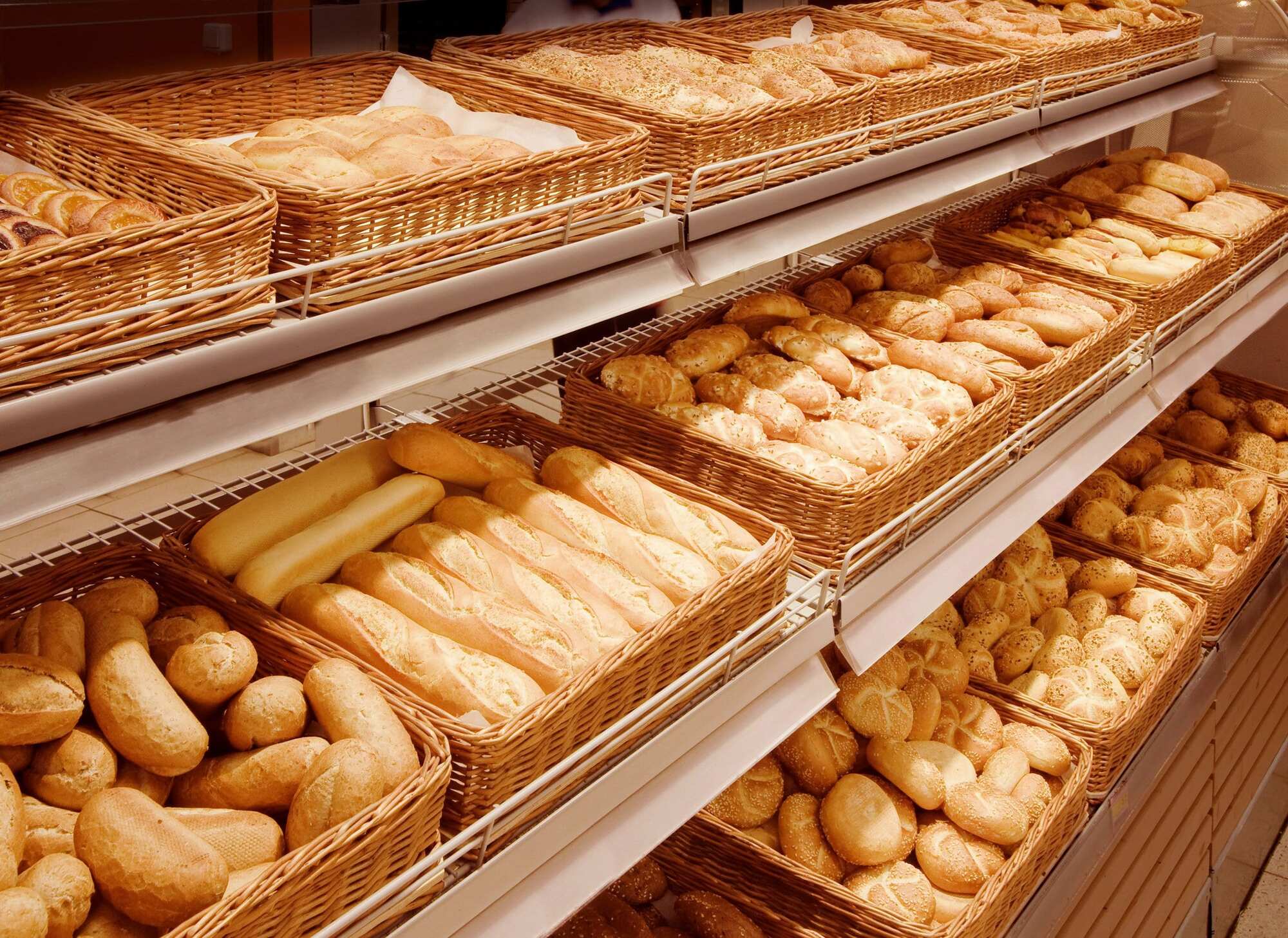 Bakery Business Bakery Business