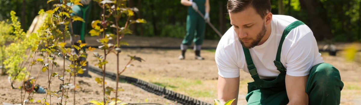 Team of gardeners in local community