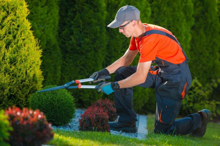 Man safely using pruning shears