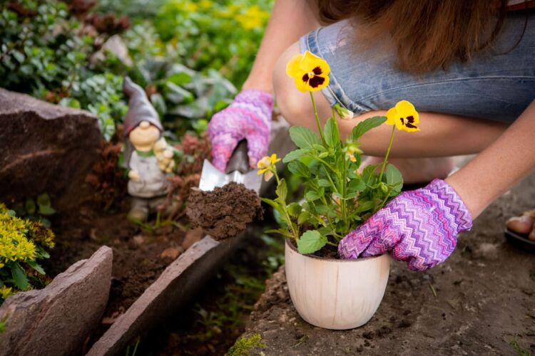 Protective gloves when gardening