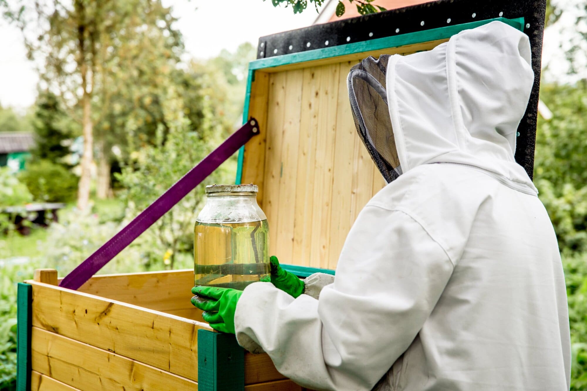 How to Become a Beekeeper