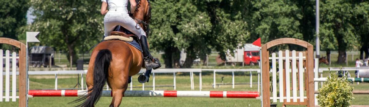 Horse riding can result in injury to the neck