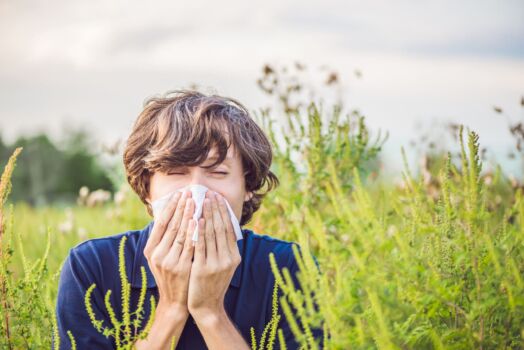 Innovations in Allergen Detection Technologies | Impacts & solutions