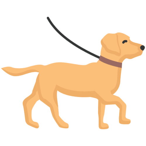 How to Start a Dog Day Care Business Costs, legals & equipment