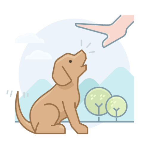 How to Start a Dog Training Business Costs, legals & equipment