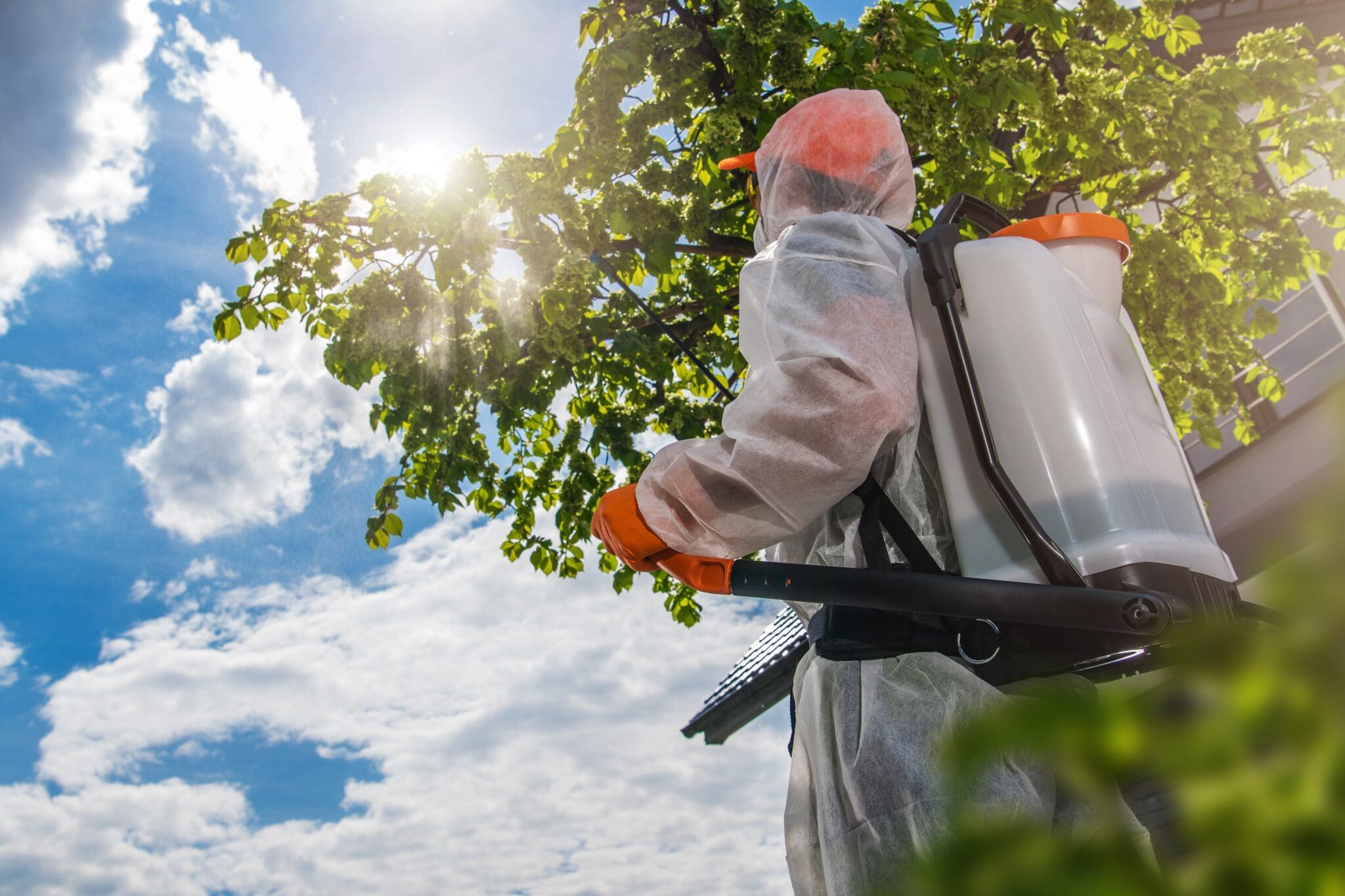 Pest Control Methods 2 Pest Control Methods