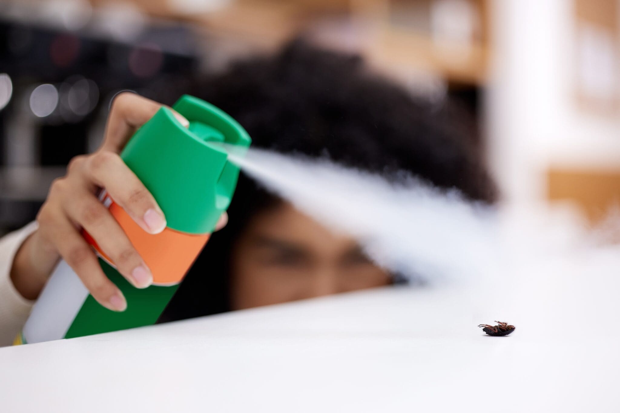 Pest Control Methods 4 Pest Control Methods