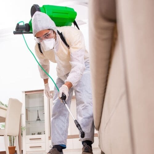 Pest Control Methods